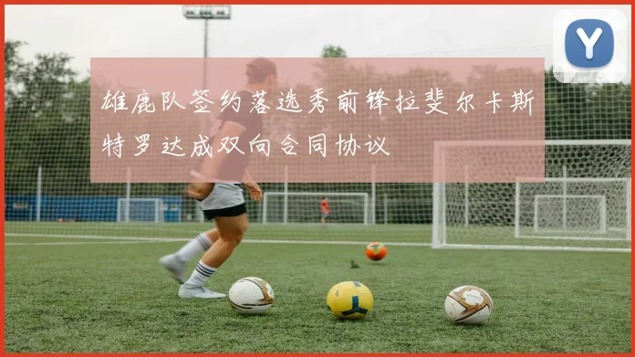 雄鹿队签约落选秀前锋拉斐尔卡斯特罗达成双向合同协议