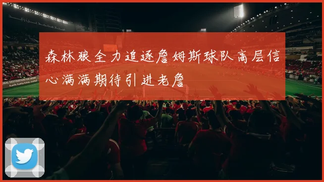 森林狼全力追逐詹姆斯球队高层信心满满期待引进老詹